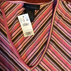 The Limited Multicolor Striped V-Neck Top